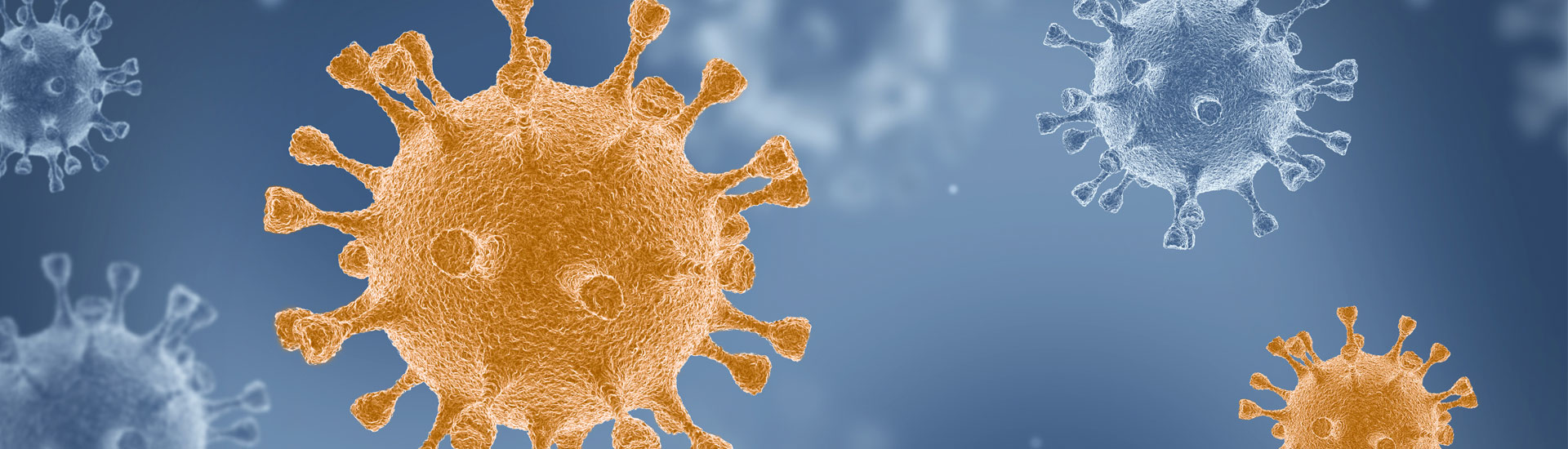 1920×550-corona-panban_291069755