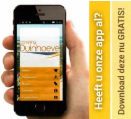 Download de APP